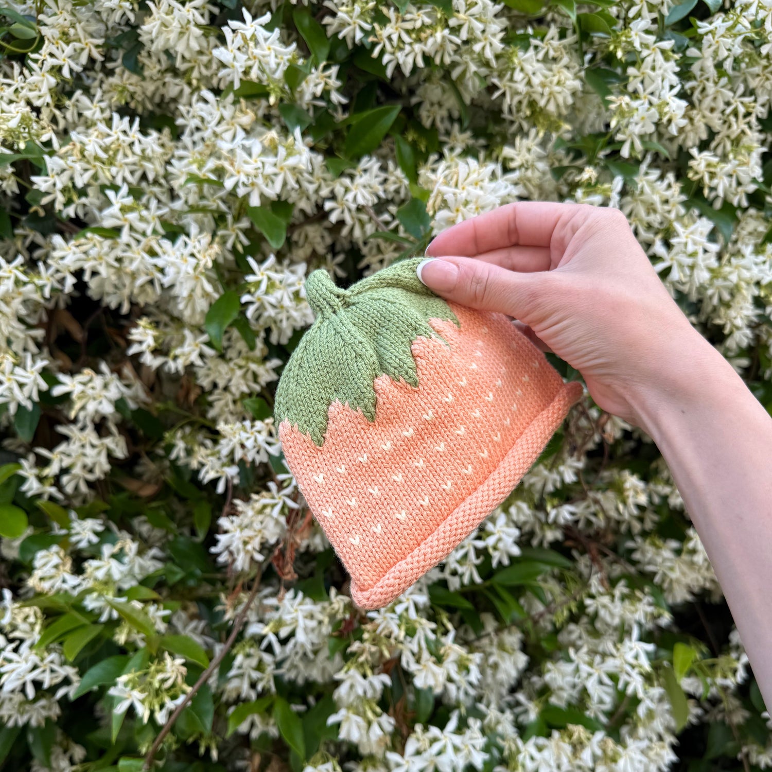 Hand holding a knitted strawberry hat against a white jasmin background