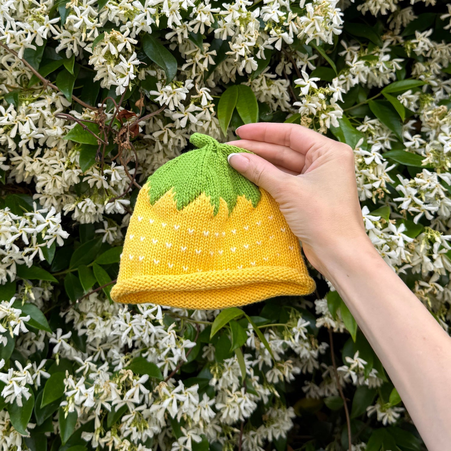 Hand holding a lemon hat against a white flower bush background