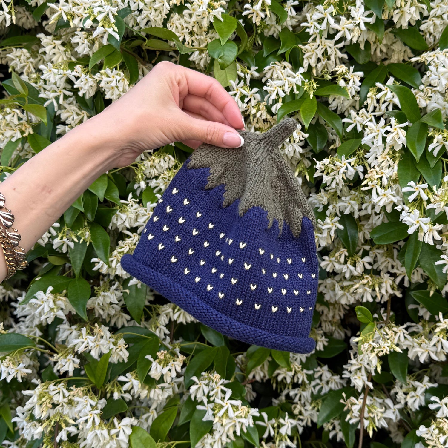 Hand holding a blueberry knitted hat in front of a white flowering bush